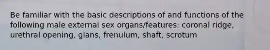 Be familiar with the basic descriptions of and functions of the following male external sex organs/features: coronal ridge, urethral opening, glans, frenulum, shaft, scrotum