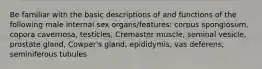 Be familiar with the basic descriptions of and functions of the following male internal sex organs/features: corpus spongiosum, copora cavernosa, testicles, Cremaster muscle, seminal vesicle, prostate gland, Cowper's gland, epididymis, vas deferens, seminiferous tubules