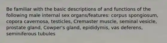 Be familiar with the basic descriptions of and functions of the following male internal sex organs/features: corpus spongiosum, copora cavernosa, testicles, Cremaster muscle, seminal vesicle, prostate gland, Cowper's gland, epididymis, vas deferens, seminiferous tubules