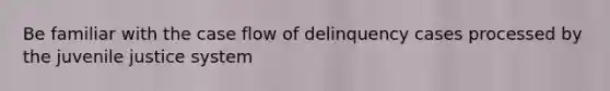 Be familiar with the case flow of delinquency cases processed by the juvenile justice system