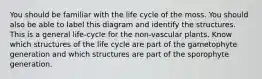 You should be familiar with the life cycle of the moss. You should also be able to label this diagram and identify the structures. This is a general life-cycle for the non-vascular plants. Know which structures of the life cycle are part of the gametophyte generation and which structures are part of the sporophyte generation.