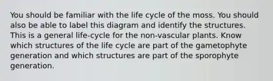 You should be familiar with the life cycle of the moss. You should also be able to label this diagram and identify the structures. This is a general life-cycle for the non-vascular plants. Know which structures of the life cycle are part of the gametophyte generation and which structures are part of the sporophyte generation.