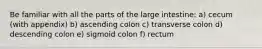 Be familiar with all the parts of the large intestine: a) cecum (with appendix) b) ascending colon c) transverse colon d) descending colon e) sigmoid colon f) rectum