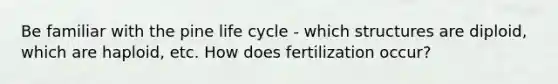 Be familiar with the pine life cycle - which structures are diploid, which are haploid, etc. How does fertilization occur?