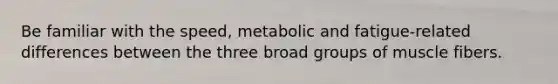 Be familiar with the speed, metabolic and fatigue-related differences between the three broad groups of muscle fibers.