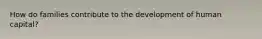 How do families contribute to the development of human capital?