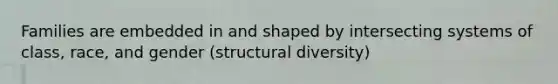 Families are embedded in and shaped by intersecting systems of class, race, and gender (structural diversity)