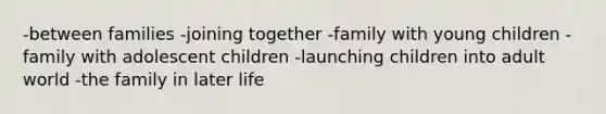 -between families -joining together -family with young children -family with adolescent children -launching children into adult world -the family in later life