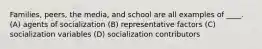 Families, peers, the media, and school are all examples of ____. (A) agents of socialization (B) representative factors (C) socialization variables (D) socialization contributors