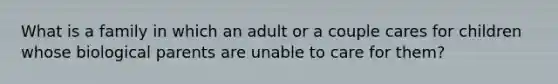 What is a family in which an adult or a couple cares for children whose biological parents are unable to care for them?