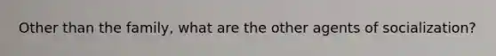 Other than the family, what are the other agents of socialization?