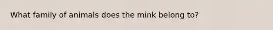 What family of animals does the mink belong to?