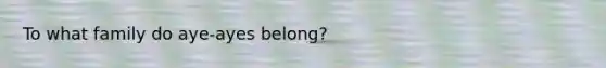 To what family do aye-ayes belong?