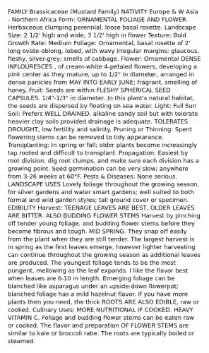 FAMILY Brassicaceae (Mustard Family) NATIVITY Europe & W Asia - Northern Africa Form: ORNAMENTAL FOLIAGE AND FLOWER. Herbaceous clumping perennial, loose basal rosette. Landscape Size: 2 1/2' high and wide; 3 1/2' high in flower Texture: Bold Growth Rate: Medium Foliage: Ornamental, basal rosette of 2' long ovate-oblong, lobed, with wavy irregular margins; glaucous, fleshy, silver-grey; smells of cabbage. Flower: Ornamental DENSE INFLOURESCES , of cream-white 4-petaled flowers, developing a pink center as they mature, up to 1/2" in diameter, arranged in dense panicles from MAY INTO EARLY JUNE; fragrant, smelling of honey. Fruit: Seeds are within FLESHY SPHERICAL SEED CAPSULES. 1/4"-1/3" in diameter. In this plant's natural habitat, the seeds are dispersed by floating on sea water. Light: Full Sun Soil: Prefers WELL DRAINED. alkaline sandy soil but with tolerate heavier clay soils provided drainage is adequate. TOLERATES DROUGHT, low fertility and salinity. Pruning or Thinning: Spent flowering stems can be removed to tidy appearance. Transplanting: In spring or fall; older plants become increasingly tap rooted and difficult to transplant. Propagation: Easiest by root division; dig root clumps, and make sure each division has a growing point. Seed germination can be very slow; anywhere from 3-26 weeks at 60°F. Pests & Diseases: None serious. LANDSCAPE USES Lovely foliage throughout the growing season, for silver gardens and water smart gardens; well suited to both formal and wild garden styles; tall ground cover or specimen. EDIBILITY Harvest: TEENAGE LEAVES ARE BEST, OLDER LEAVES ARE BITTER. ALSO BUDDING FLOWER STEMS Harvest by pinching off tender young foliage, and budding flower stems before they become fibrous and tough. MID SPRING. They snap off easily from the plant when they are still tender. The largest harvest is in spring as the first leaves emerge, however lighter harvesting can continue throughout the growing season as additional leaves are produced. The youngest foliage tends to be the most pungent, mellowing as the leaf expands. I like the flavor best when leaves are 6-10 in length. Ernerging foliage can be blanched like asparagus under an upside-down flowerpot; blanched foliage has a mild hazelnut flavor. If you have more plants then you need, the thick ROOTS ARE ALSO EDIBLE, raw or cooked. Culinary Uses: MORE NUTRITIONAL IF COOKED. HEAVY VITAMIN C. Foliage and budding flower stems can be eaten raw or cooked. The flavor and preparation OF FLOWER STEMS are similar to kale or broccoli rabe. The roots are typically boiled or steamed.