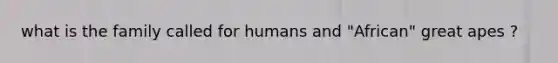 what is the family called for humans and "African" great apes ?