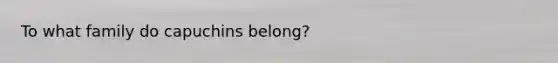 To what family do capuchins belong?
