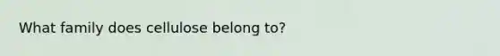 What family does cellulose belong to?