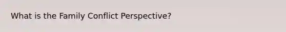 What is the Family Conflict Perspective?