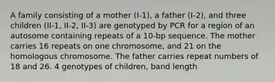 A family consisting of a mother (I-1), a father (I-2), and three children (II-1, II-2, II-3) are genotyped by PCR for a region of an autosome containing repeats of a 10-bp sequence. The mother carries 16 repeats on one chromosome, and 21 on the homologous chromosome. The father carries repeat numbers of 18 and 26. 4 genotypes of children, band length