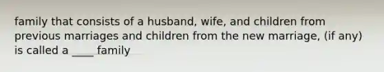 family that consists of a husband, wife, and children from previous marriages and children from the new marriage, (if any) is called a ____ family