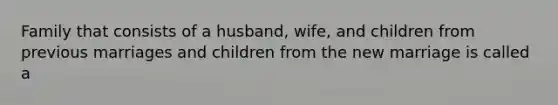 Family that consists of a husband, wife, and children from previous marriages and children from the new marriage is called a