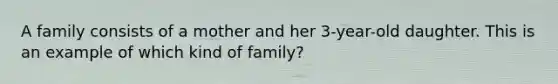 A family consists of a mother and her 3-year-old daughter. This is an example of which kind of family?