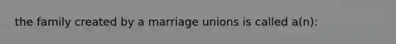 the family created by a marriage unions is called a(n):