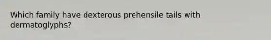 Which family have dexterous prehensile tails with dermatoglyphs?