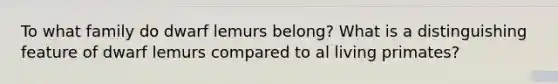 To what family do dwarf lemurs belong? What is a distinguishing feature of dwarf lemurs compared to al living primates?