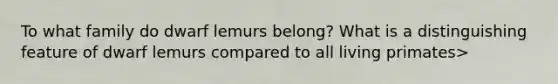 To what family do dwarf lemurs belong? What is a distinguishing feature of dwarf lemurs compared to all living primates>