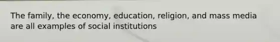 The family, the economy, education, religion, and mass media are all examples of social institutions