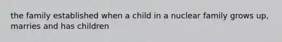 the family established when a child in a nuclear family grows up, marries and has children