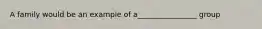 A family would be an example of a________________ group