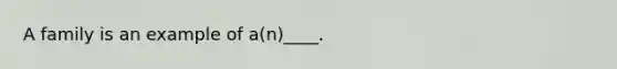 A family is an example of a(n)____.