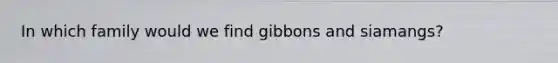 In which family would we find gibbons and siamangs?