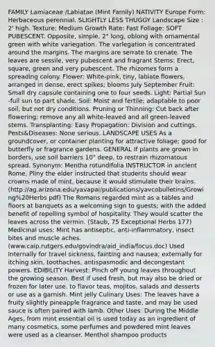 FAMILY Lamiaceae /Labiatae (Mint Family) NATIVITY Europe Form: Herbaceous perennial. SLIGHTLY LESS THUGGY Landscape Size : 2' high. Texture: Medium Growth Rate: Fast Foliage: SOFT PUBESCENT. Opposite, simple, 2" long, oblong with ornamental green with white variegation. The varlegation is concentrated around the margins. The margins are serrate to crenate. The leaves are sessile, very pubescent and fragrant Stems: Erect, square, green and very pubescent. The rhizomes form a spreading colony. Flower: White-pink, tiny, labiate flowers, arranged in dense, erect spikes; blooms July September Fruit: Small dry capsule containing one to four seeds. Light: Partial Sun -full sun to part shade. Soil: Moist and fertile; adaptable to poor soil, but not dry conditions. Pruning or Thinning: Cut back after flowering; remove any all white-leaved and all green-leaved stems. Transplanting: Easy Propagation: Division and cuttings. Pests&Diseases: None serious. LANDSCAPE USES As a groundcover, or container planting for attractive foliage; good for butterfly or fragrance gardens. GENERAL If plants are grown in borders, use soil barriers 10" deep, to restrain rhizomatous spread. Synonym: Mentha rotundifolia INSTRUCTOR in anclent Rome, Pliny the elder instructed that students should wear crowns made of mint, because it would stimulate their brains. (http://ag.arizona.edu/yavapai/publications/yavcobulletins/Growing%20Herbs pdf) The Romans regarded mint as a tables and floors at banquets as a welcoming sign to guests; with the added benefit of repelling symbol of hospitality. They would scatter the leaves across the vermin. (Staub, 75 Exceptional Herbs 177) Medicinal uses: Mint has antiseptic, anti-inflammatory, insect bites and muscle aches. (www.caip.rutgers.edu/govindra/aid_india/focus.doc) Used Internally for travel sickness, fainting and nausea; externally for itching skin, toothaches, antispasmodic and decongestant powers. EDIBILITY Harvest: Pinch off young leaves throughout the growing season. Best if used fresh, but may also be dried or frozen for later use. to flavor teas, mojitos, salads and desserts or use as a garnish. Mint jelly Culinary Uses: The leaves have a fruity slightly pineapple fragrance and taste, and may be used sauce is often paired with lamb. Other Uses: During the Middle Ages, from mint essential oil is used today as an ingredient of many cosmetics, some perfumes and powdered mint leaves were used as a cleanser. Menthol shampoo products