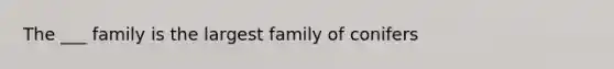 The ___ family is the largest family of conifers