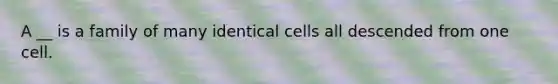 A __ is a family of many identical cells all descended from one cell.