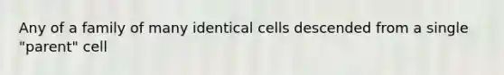 Any of a family of many identical cells descended from a single "parent" cell