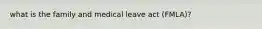 what is the family and medical leave act (FMLA)?