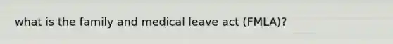 what is the family and medical leave act (FMLA)?