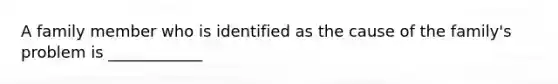 A family member who is identified as the cause of the family's problem is ____________