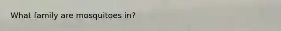 What family are mosquitoes in?