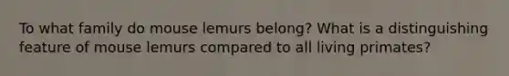 To what family do mouse lemurs belong? What is a distinguishing feature of mouse lemurs compared to all living primates?