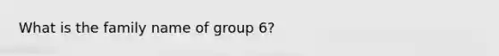 What is the family name of group 6?