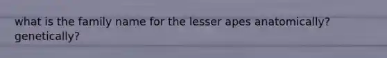 what is the family name for the lesser apes anatomically? genetically?
