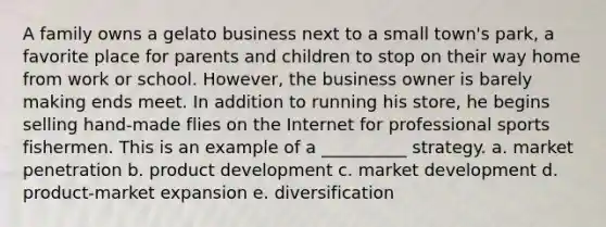 A family owns a gelato business next to a small town's park, a favorite place for parents and children to stop on their way home from work or school. However, the business owner is barely making ends meet. In addition to running his store, he begins selling hand-made flies on the Internet for professional sports fishermen. This is an example of a __________ strategy. a. market penetration b. product development c. market development d. product-market expansion e. diversification