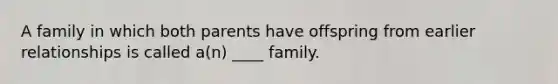 A family in which both parents have offspring from earlier relationships is called a(n) ____ family.