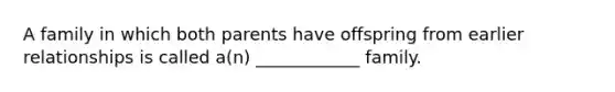 A family in which both parents have offspring from earlier relationships is called a(n) ____________ family.