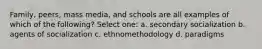 Family, peers, mass media, and schools are all examples of which of the following? Select one: a. secondary socialization b. agents of socialization c. ethnomethodology d. paradigms